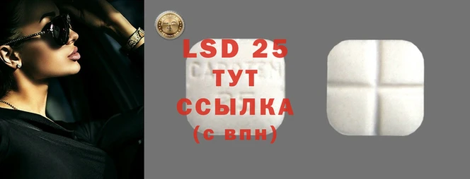 ALPHA-PVP Каменногорск