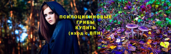 СК Каменка
