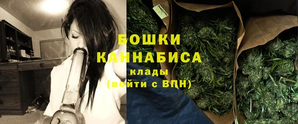 СК Каменка