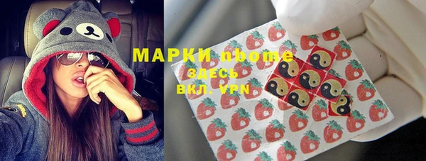 СК Каменка