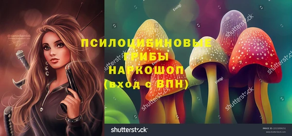 ALPHA-PVP Каменногорск